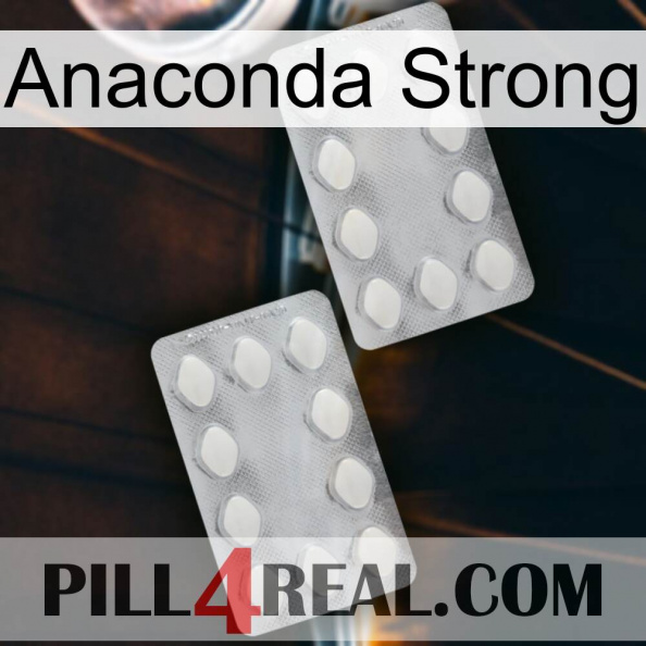 Anaconda Strong 17.jpg